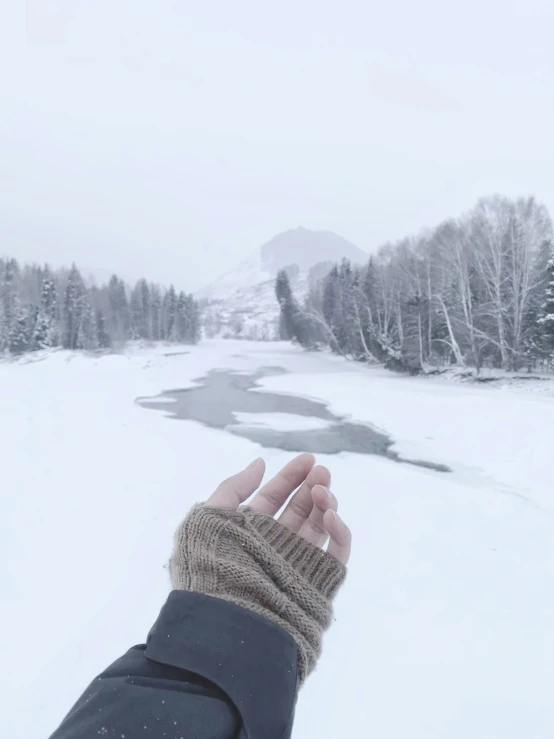 a hand holding soing in the snow near the forest