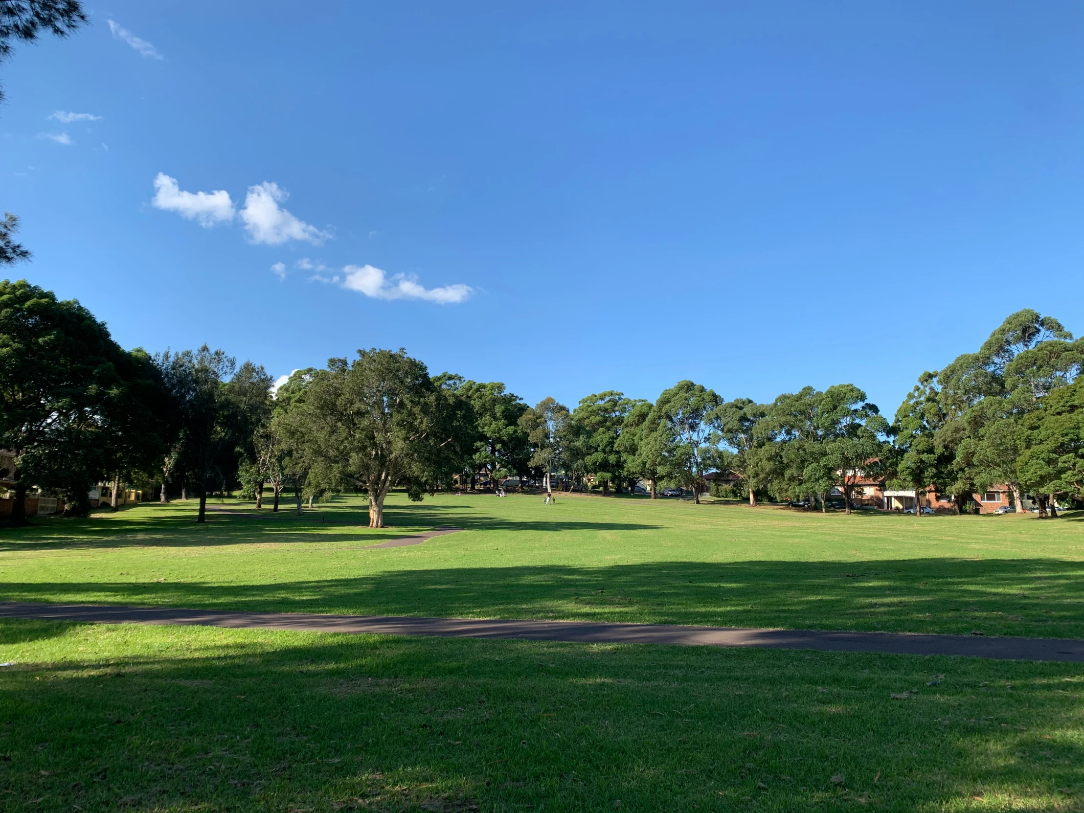 some people and trees and a bench in a park