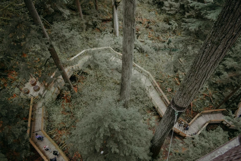 the road in the middle of the forest is empty