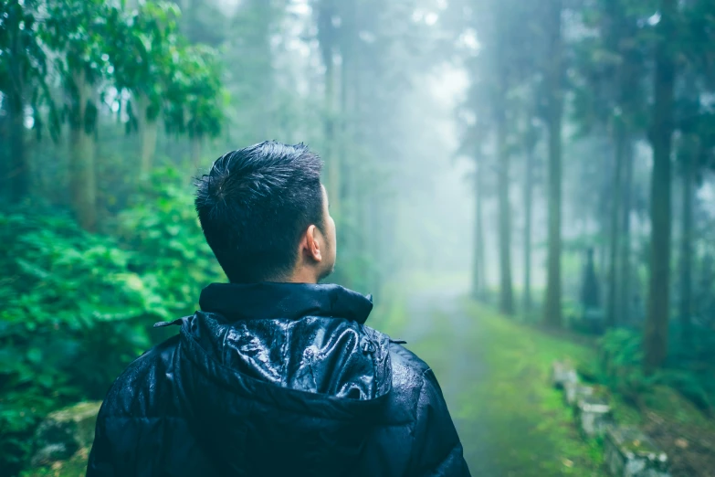 a man looking out on a path through the woods