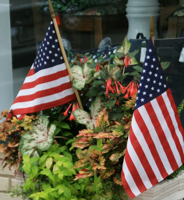 flags sitting in flowers inside a window box