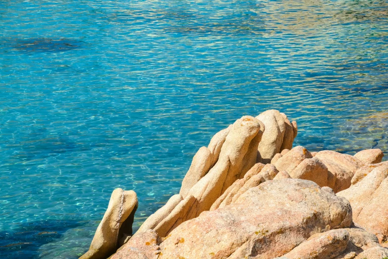 a bird is sitting on a rock near a blue body of water