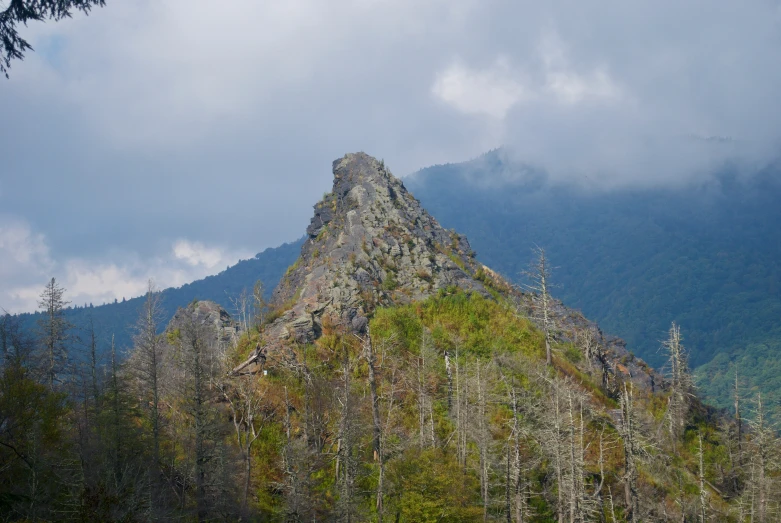 mountains and trees are in the foreground with fog