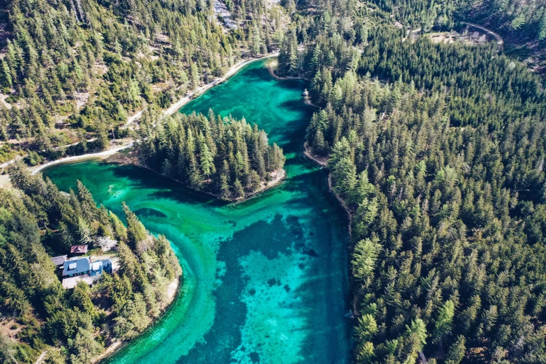 aerial view of a river in the middle of the woods