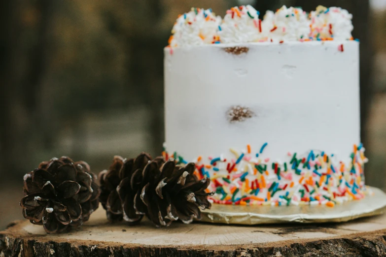 a cake decorated with sprinkles and two pine cones