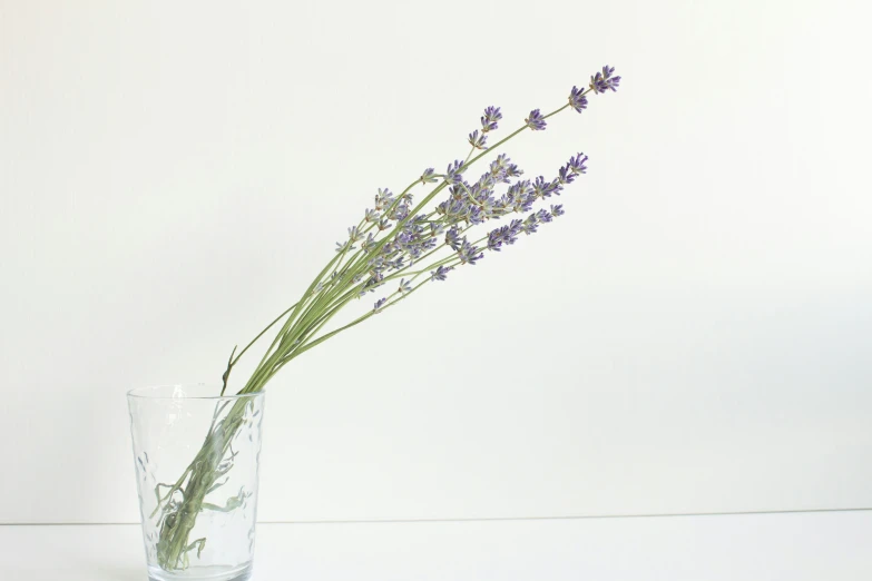 a vase with a flower arrangement sits on a counter