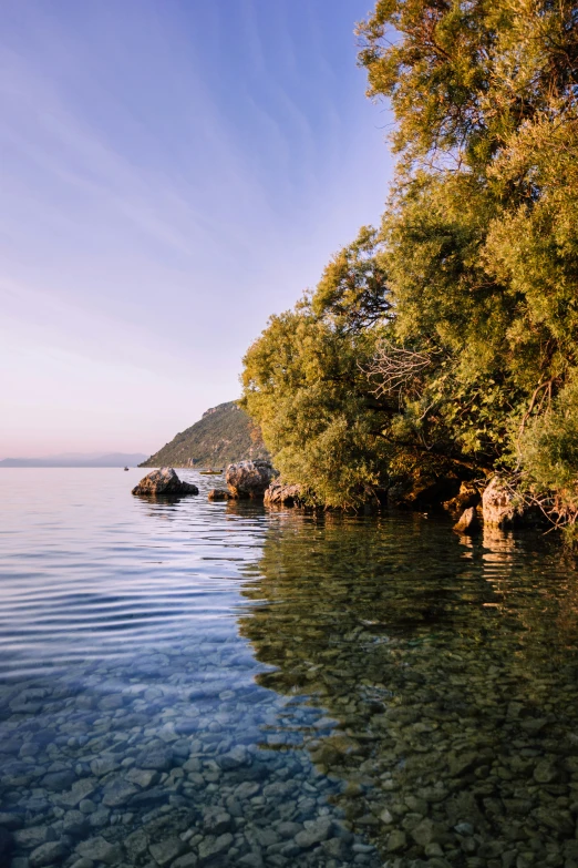 a view of some water and trees in the distance