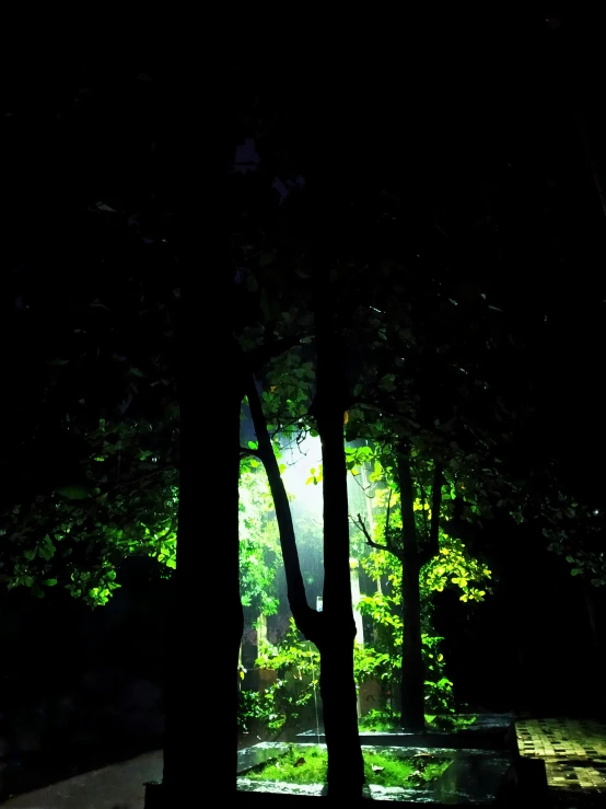 a park bench is by trees with a bright light shining in