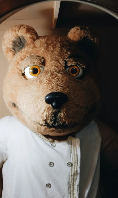 an up close po of a stuffed teddy bear wearing an outfit