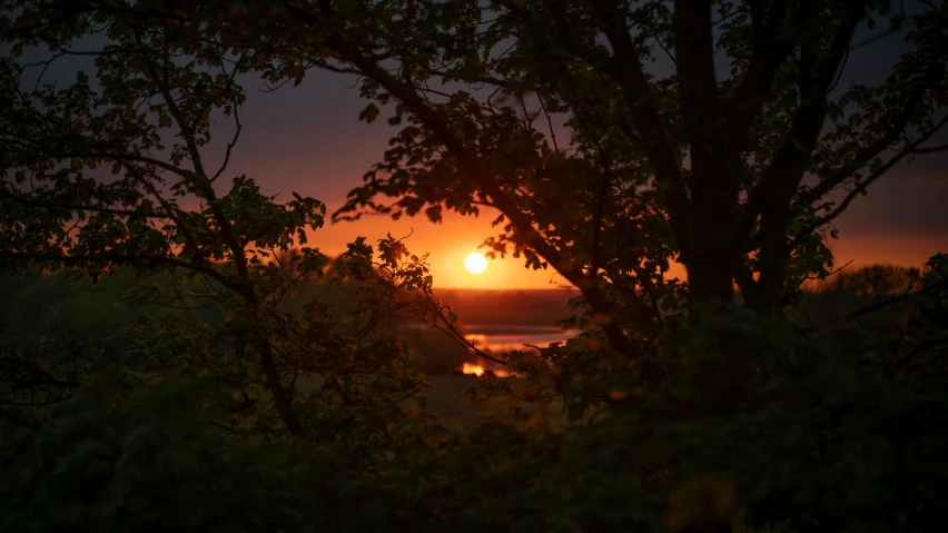 the sun is rising through the trees looking over water