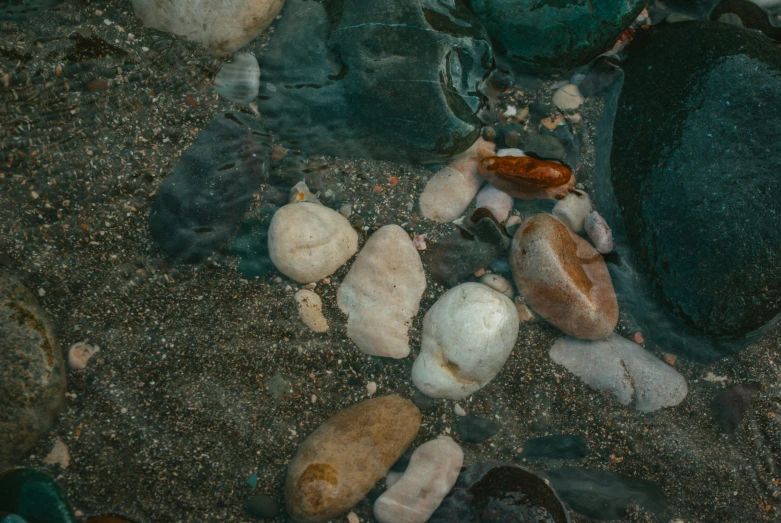 a rock bed in a stream of water filled with stones