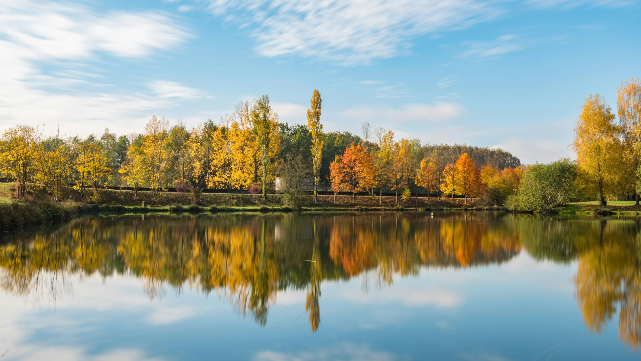 autumn foliage at a lake on a clear day