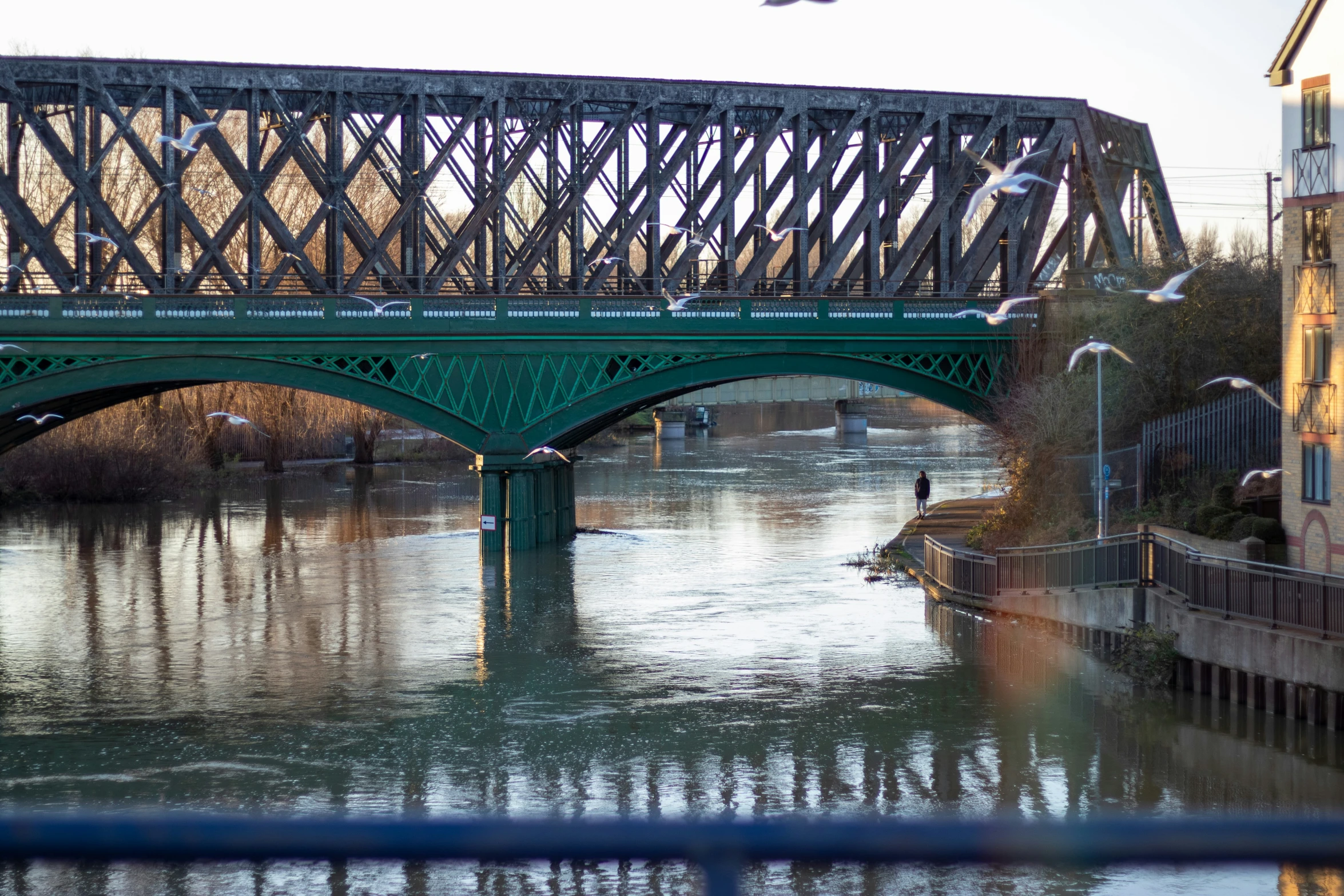 a bird flies over the river and underneath a bridge