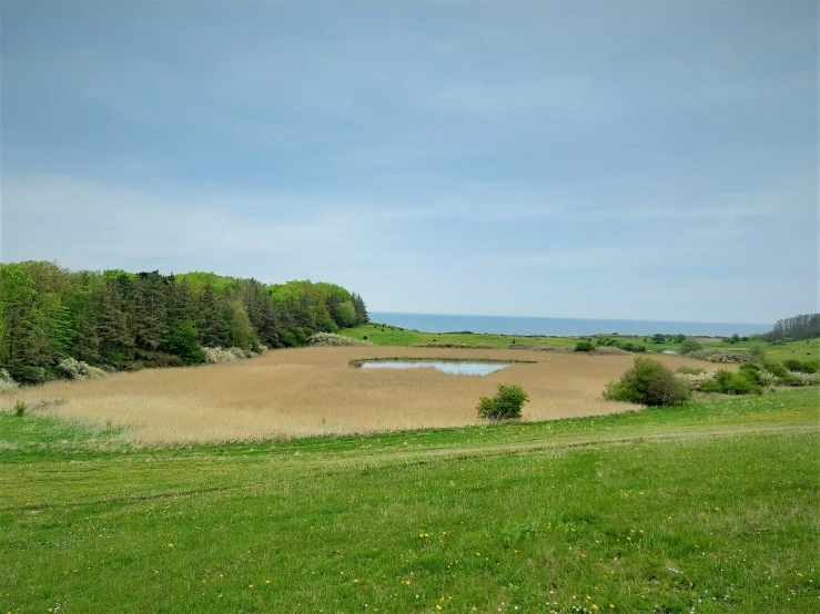 the view of an empty grass field is clear