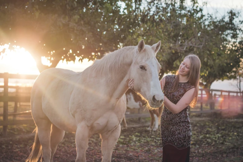 a person next to a horse with their hands on it