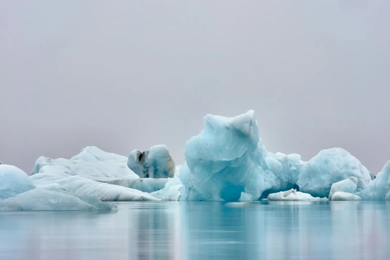 the icebergs are almost completely frozen as one looks on