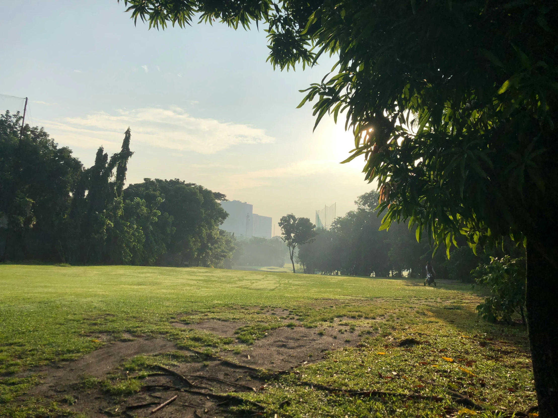 a park area with trees, grass and buildings in the distance