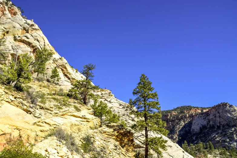 a steep rocky mountain with trees growing on it