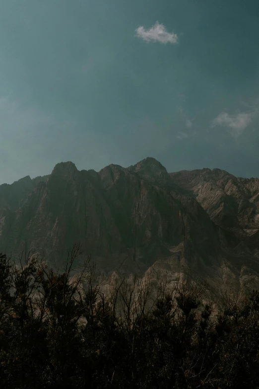 view of a mountain side and clouds with black trees below