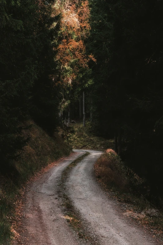 a dirt road with trees in the background