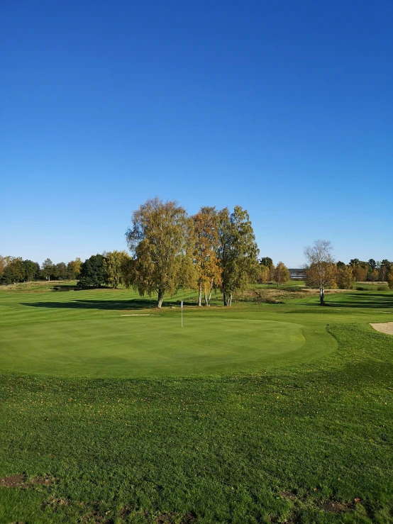 view of a golf field and a tree from a short fairway