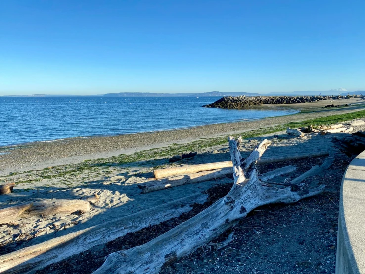 the ocean is still very calm today