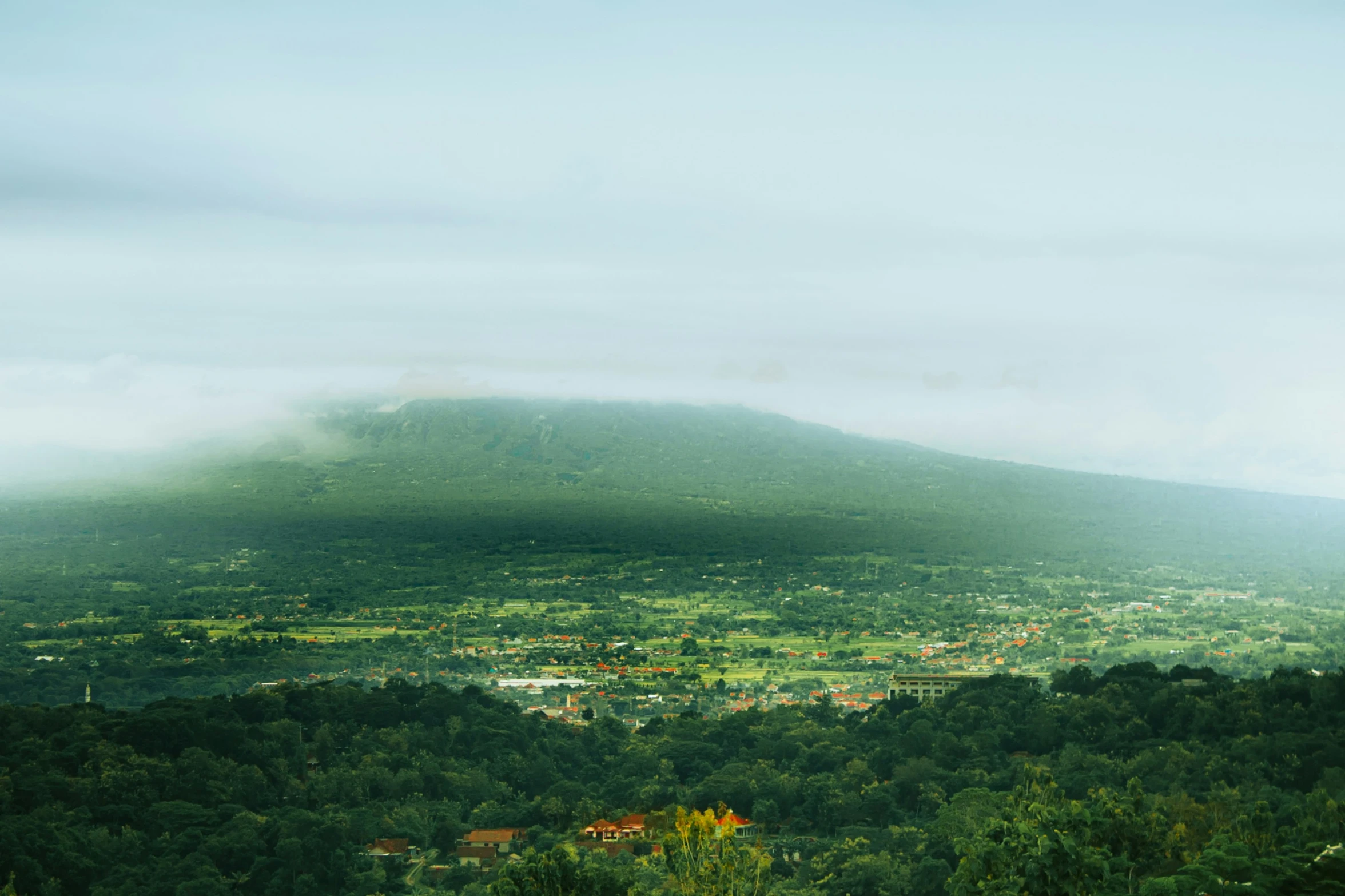 an image of a lush green mountain in the foreground