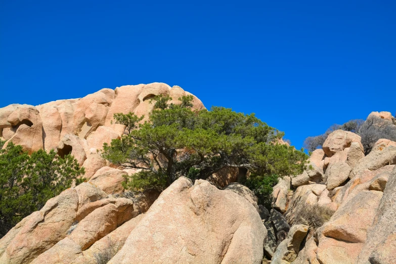 a lone giraffe that is standing among the rocks