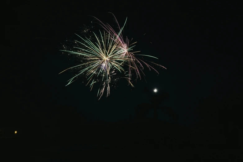 fireworks at night in a dark sky above trees