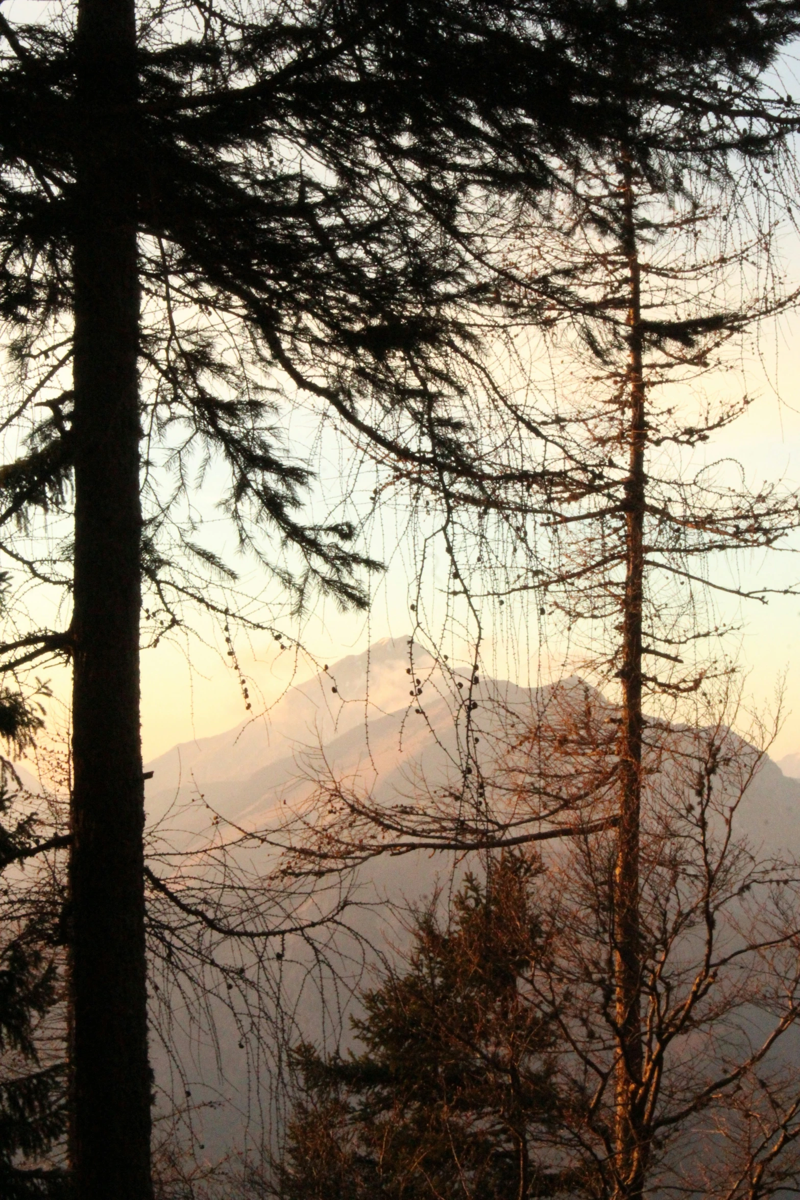 the sky has clouds and trees, and no one is in it