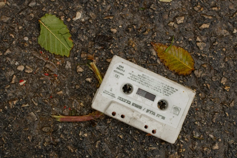a broken cassette is on the ground with leaves around it