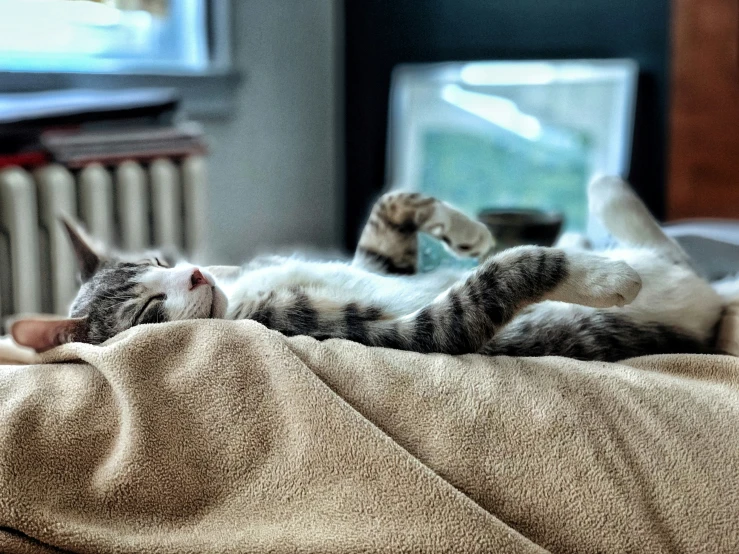 a cat is sleeping on a bed with it's back legs outstretched