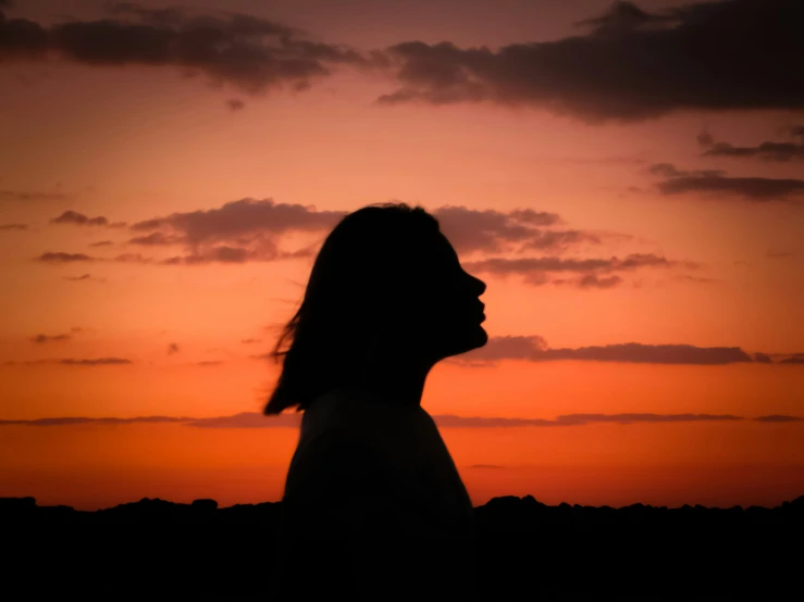 a person is silhouetted against an orange and pink sky