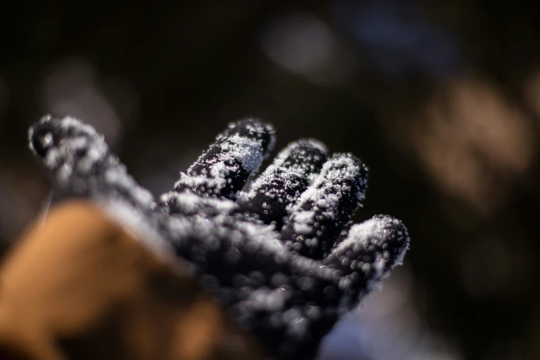 small snowflakes in the shape of four leaves are shining