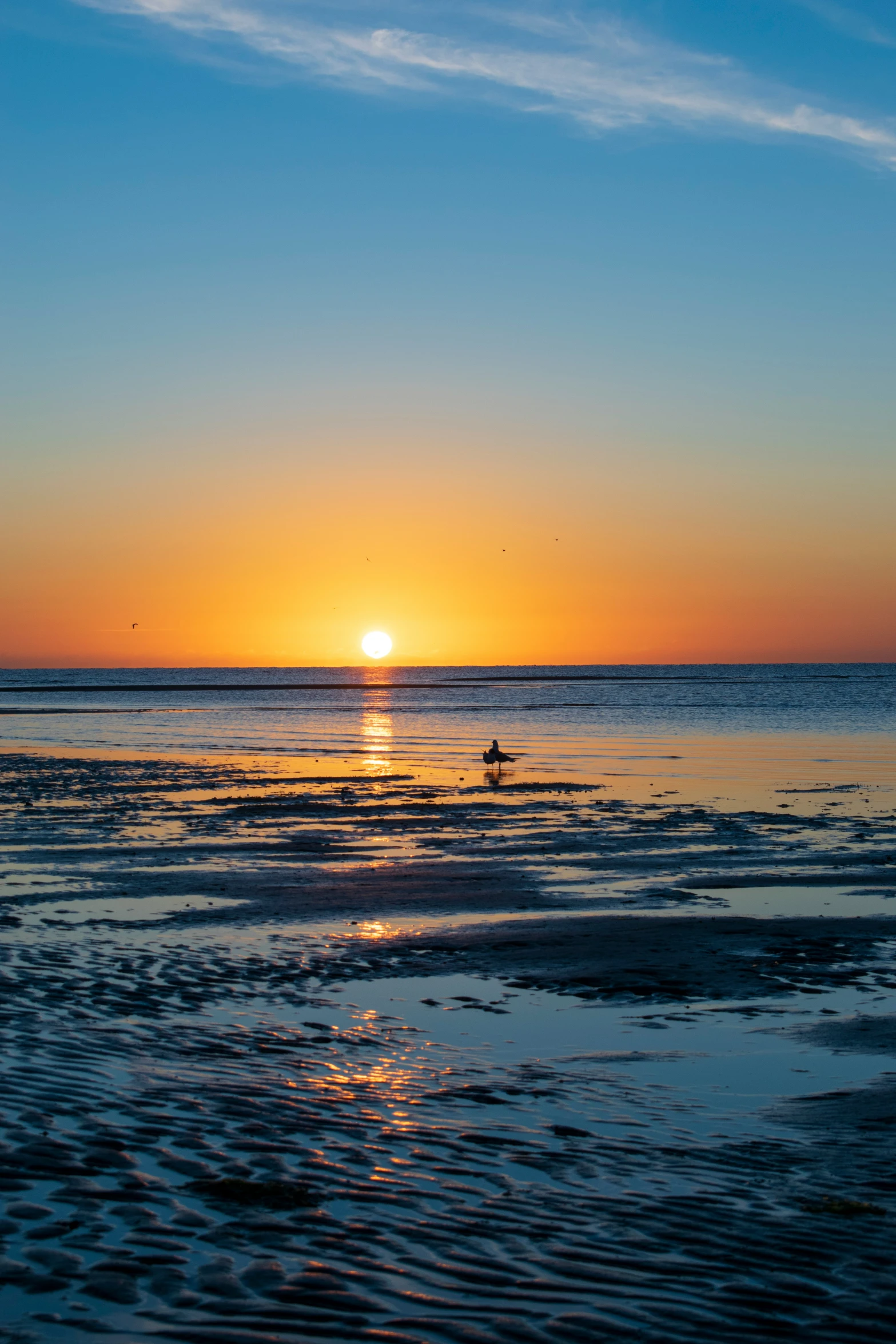 a person is at the beach watching a sun rise