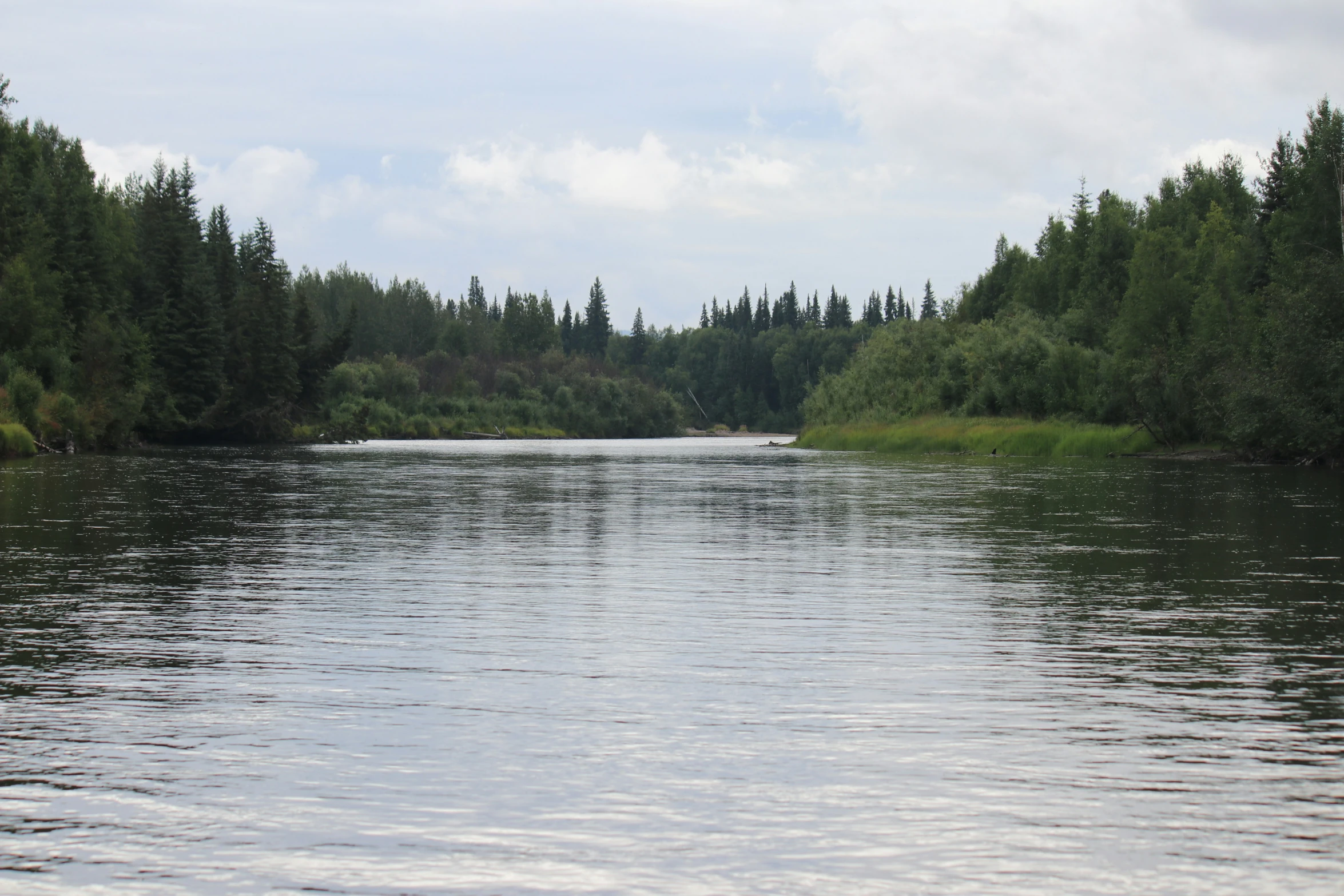 a body of water surrounded by forest and clouds