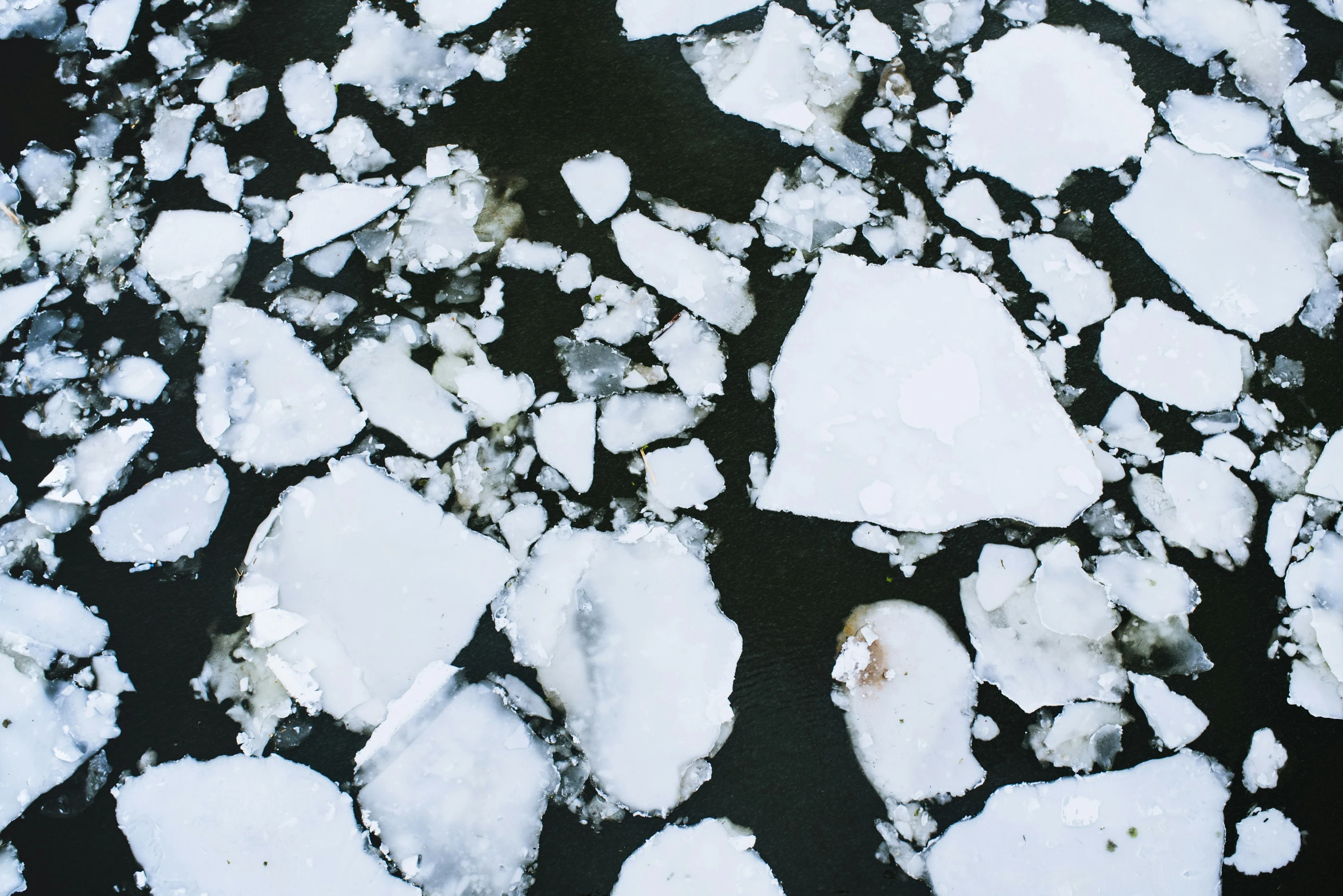 some ice flakes floating in the water on top of the ice