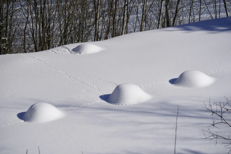 someone is walking through the snow in skis