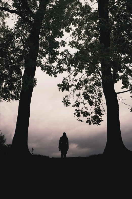 two trees and a person walking away from a forest