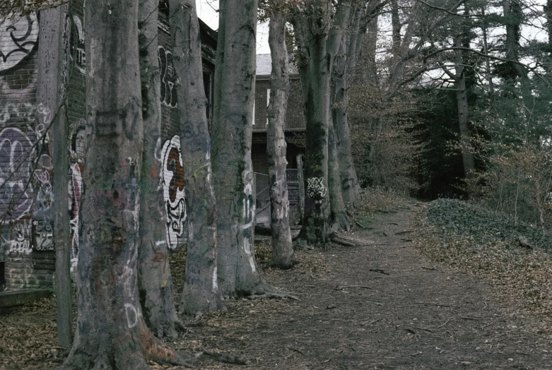 a long trail that is covered with graffiti and surrounded by trees