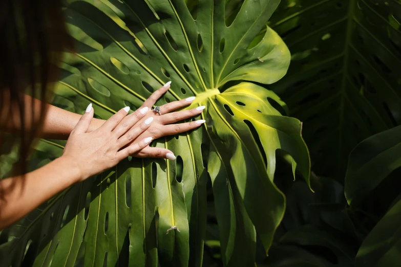 a female is touching a plant with her hand