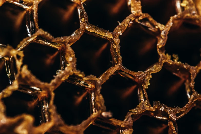 brown honey cells are in the middle of each other