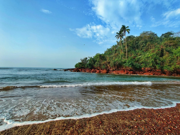 waves crash into the beach and trees near shore