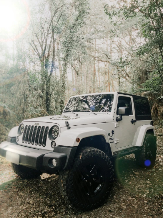 the white jeep is driving through the woods