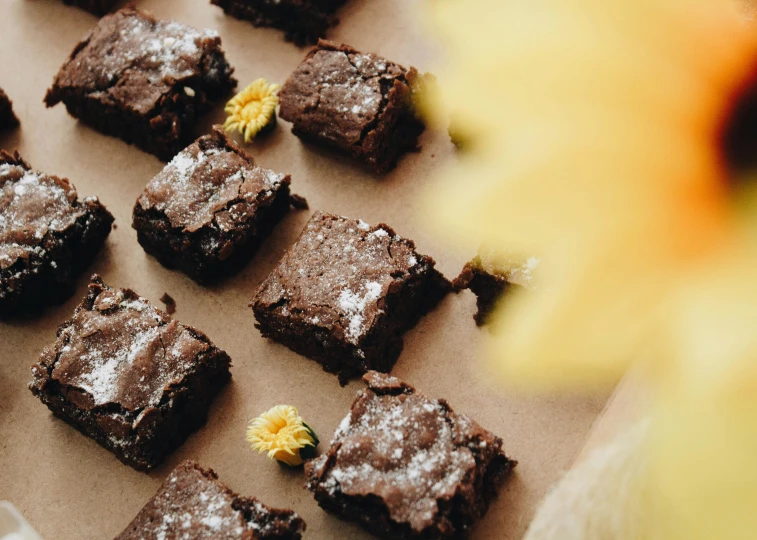 chocolate brownies sit on a plate, covered in icing