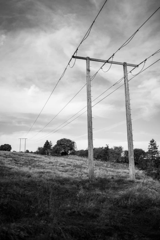 a grassy field covered in telephone poles and wires