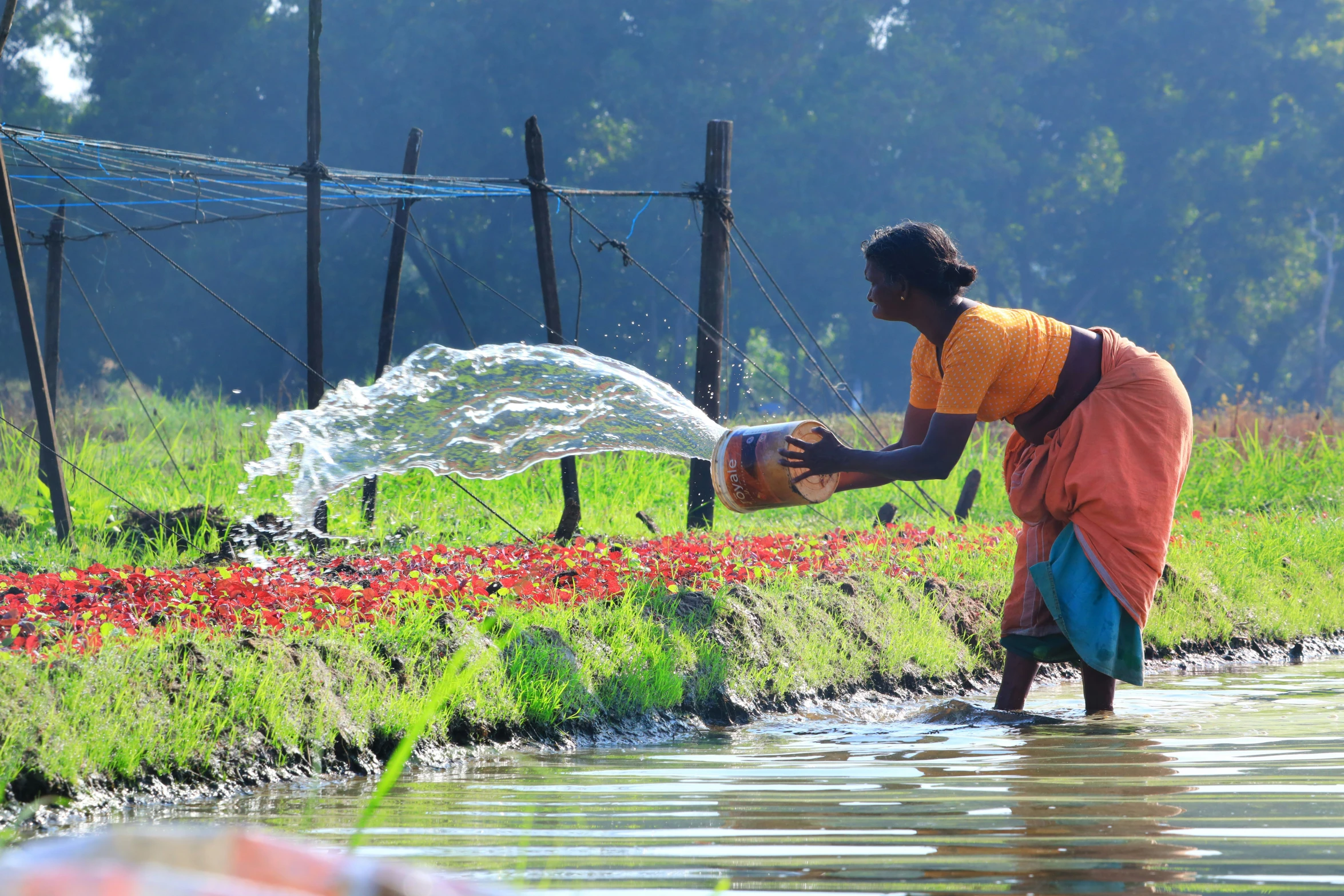 a woman in orange dress holding up an umbrella and watering water