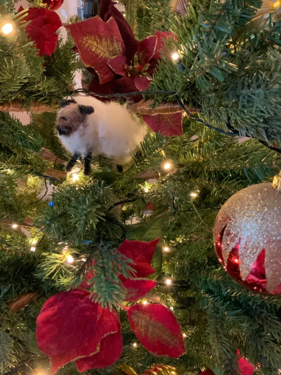 a cat sits on a christmas tree surrounded by ornaments