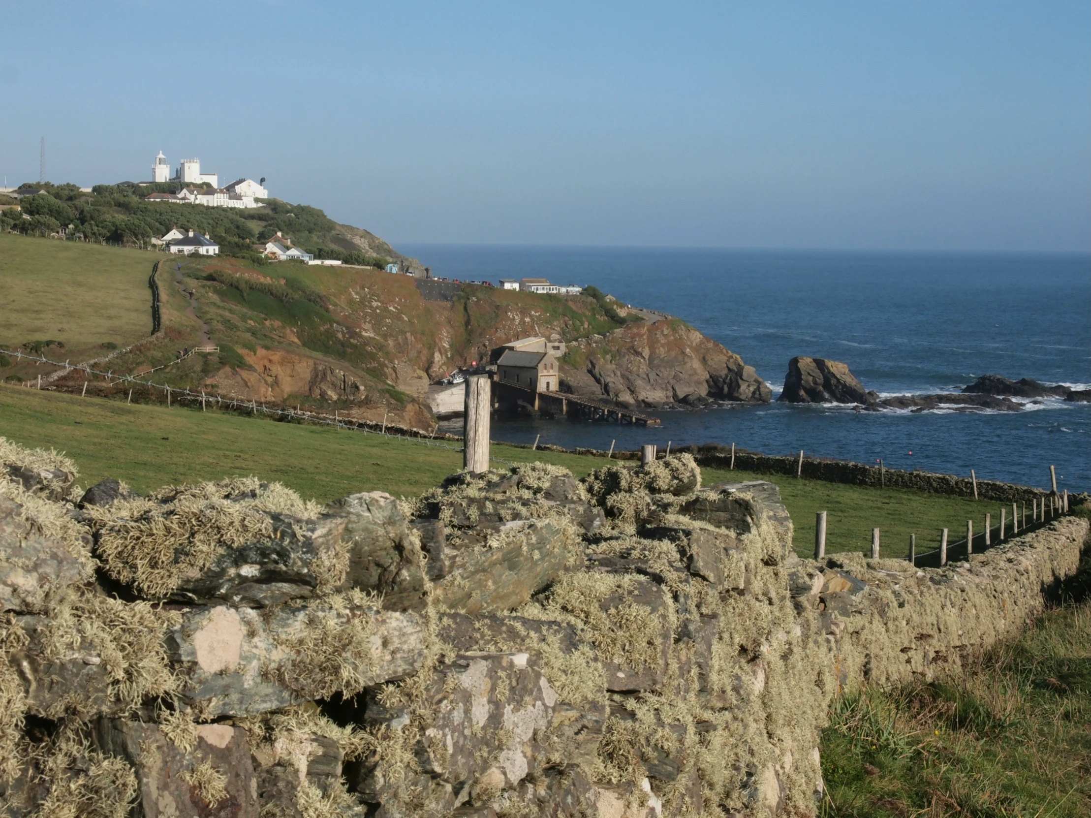 there are animals walking along the coast line