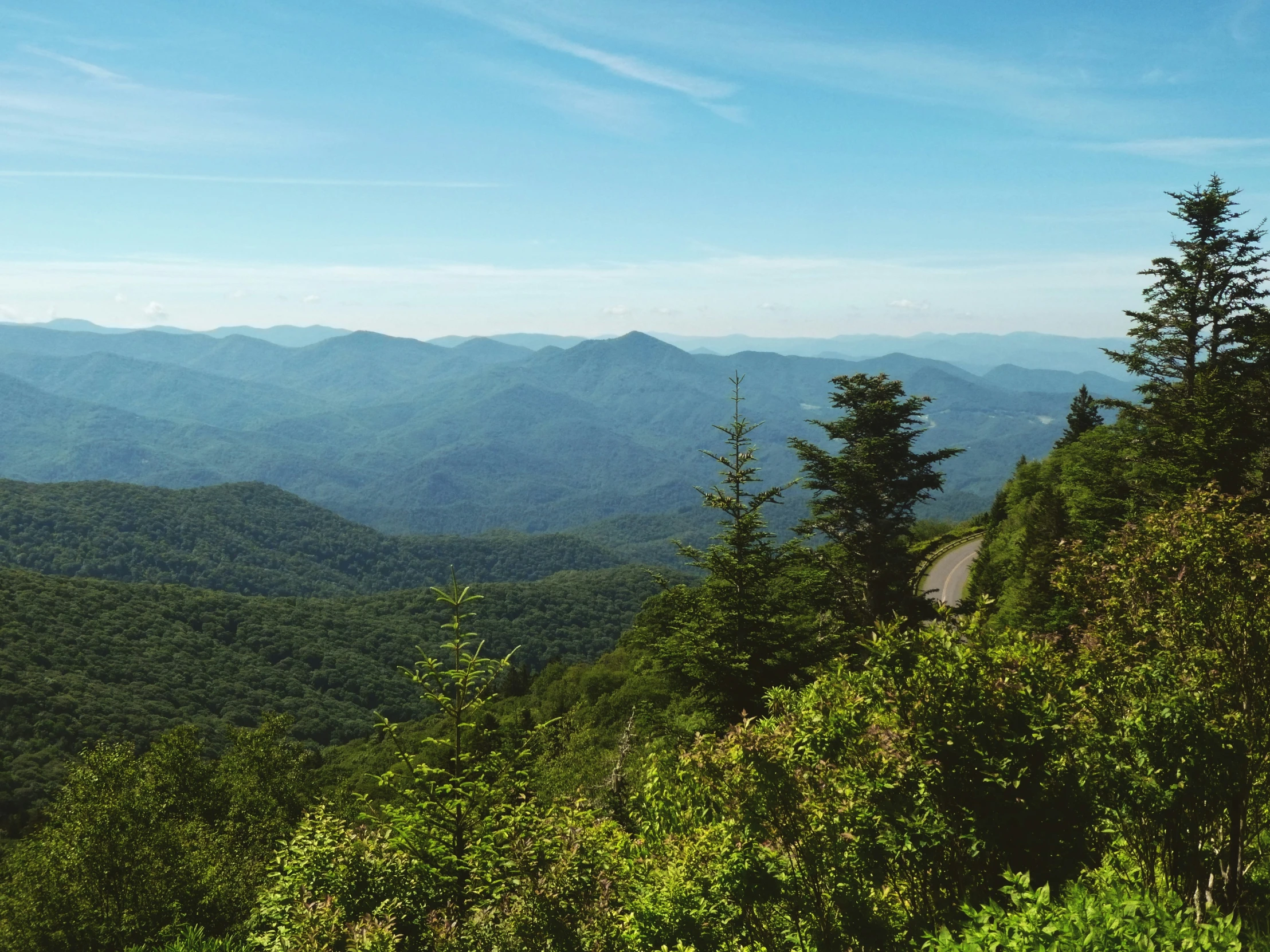 a scenic view of the mountains with lots of trees